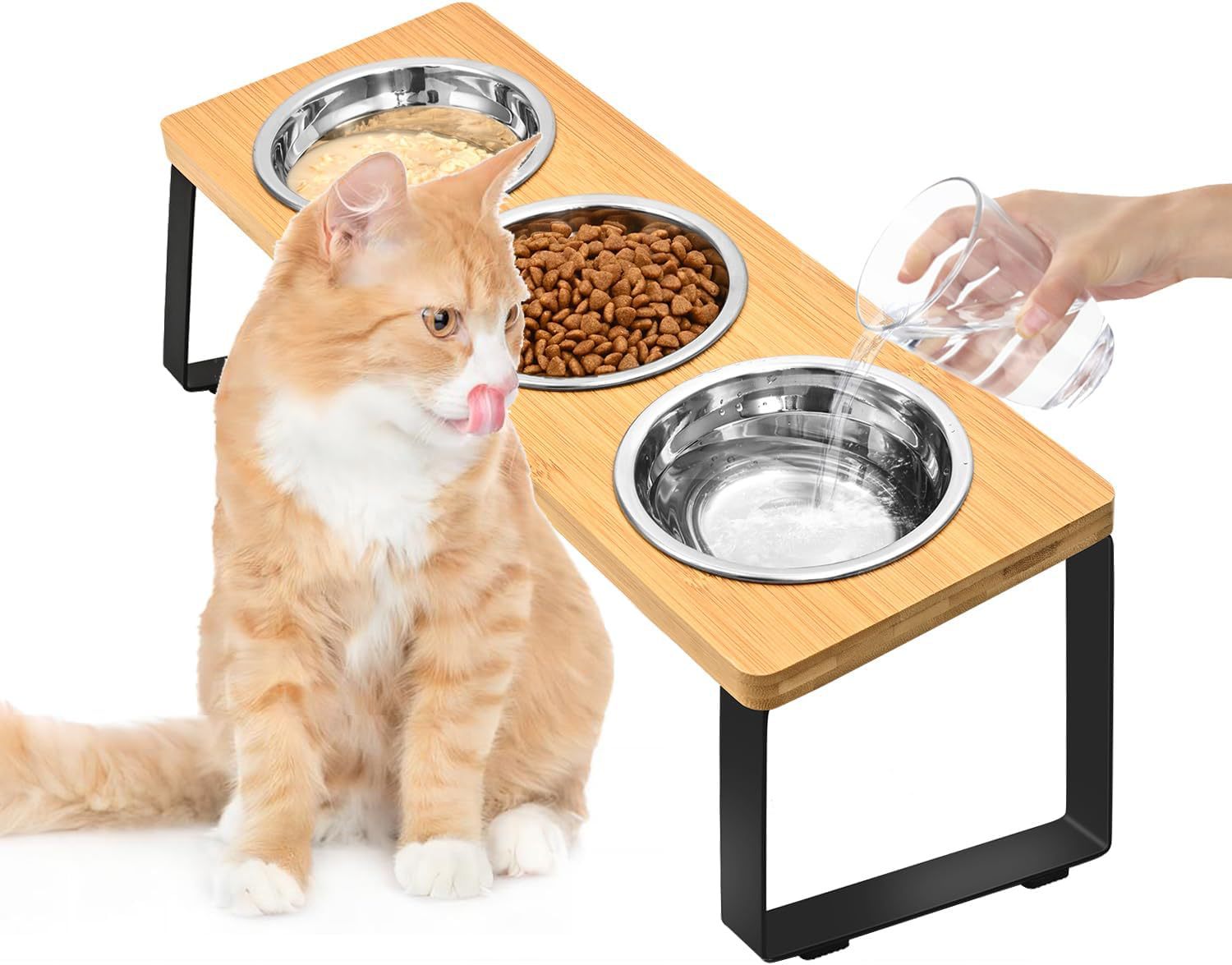 Elevate Your Pet's Dining Experience